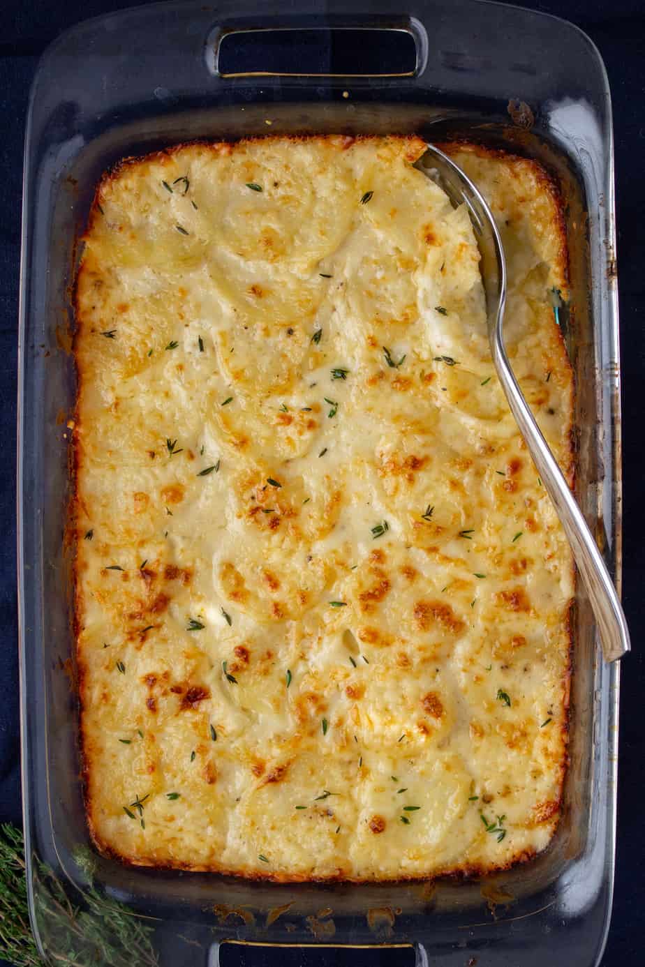 au gratin potatoes in a casserole dish on a dark background