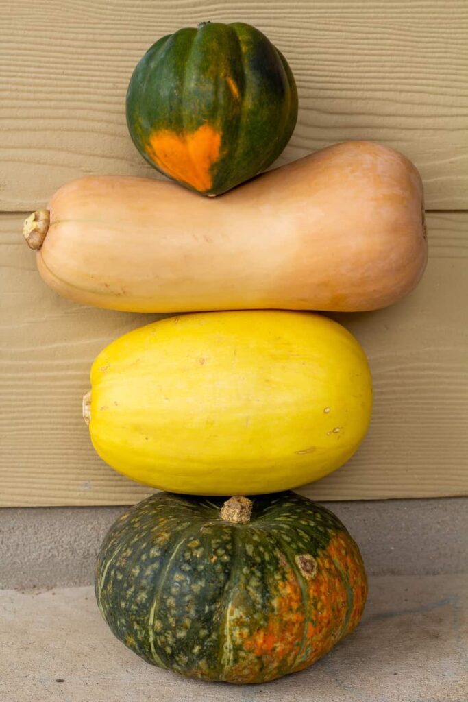 winter squash stacked on top of each other with a tan background