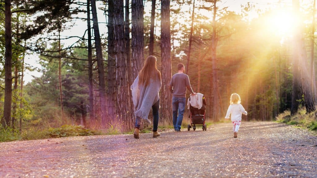 a family walking in the woods at sunset 