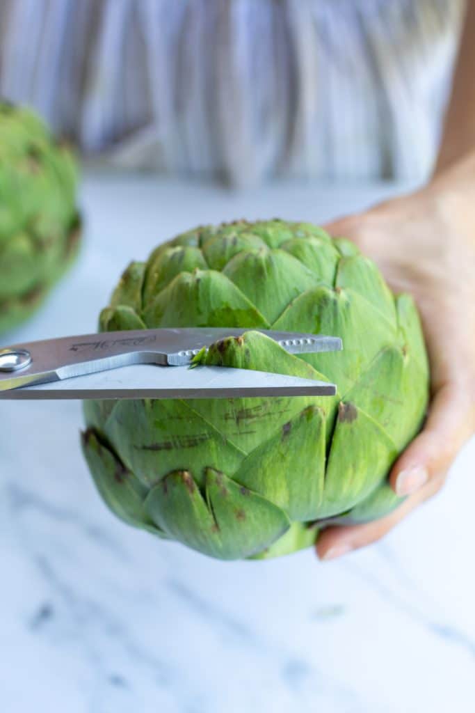 snipping the leaves of an artichoke with scissors