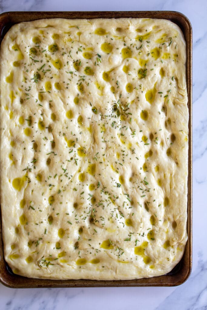 focaccia dough in a sheet pan sprinkled with salt, rosemary, and olive oil with finger holes throughout